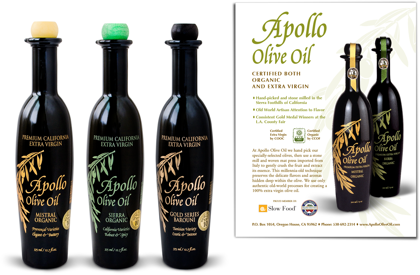 Apollo Olive Oil